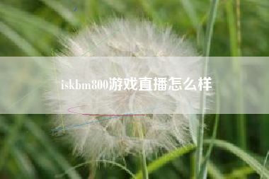 iskbm800游戏直播怎么样