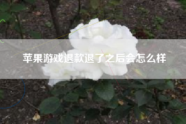 苹果游戏退款退了之后会怎么样