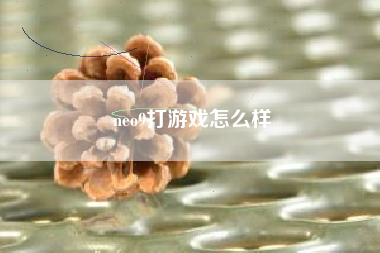 neo9打游戏怎么样