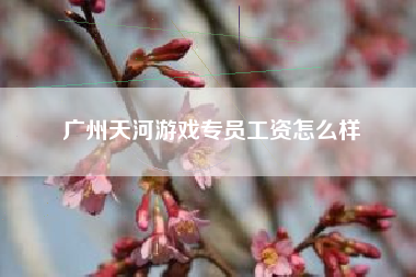 广州天河游戏专员工资怎么样