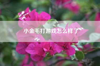 小金毛打游戏怎么样了