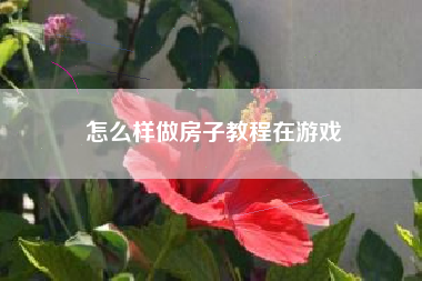 怎么样做房子教程在游戏