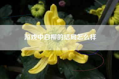 游戏中白柳的结局怎么样