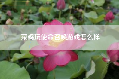 菜鸡玩使命召唤游戏怎么样