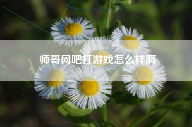 师哥网吧打游戏怎么样啊