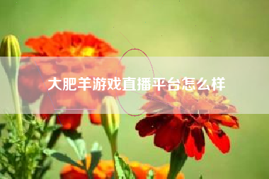 大肥羊游戏直播平台怎么样