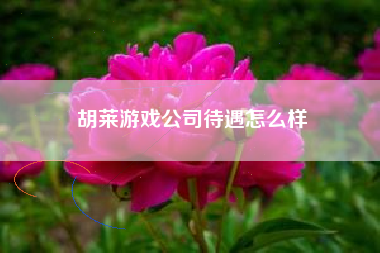 胡莱游戏公司待遇怎么样