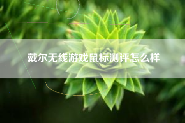 戴尔无线游戏鼠标测评怎么样