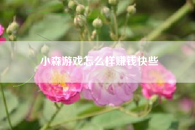 小森游戏怎么样赚钱快些
