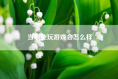 当职业玩游戏会怎么样