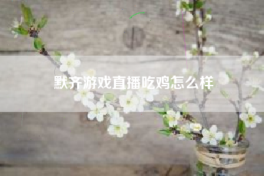 默齐游戏直播吃鸡怎么样