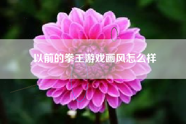 以前的拳王游戏画风怎么样