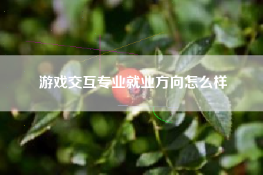 游戏交互专业就业方向怎么样