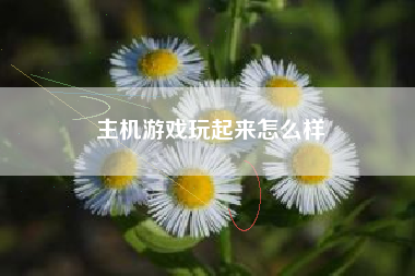 主机游戏玩起来怎么样