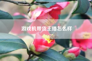 游戏机带货主播怎么样