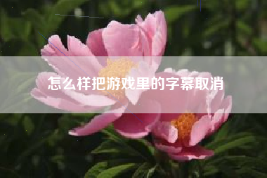怎么样把游戏里的字幕取消