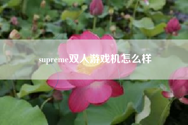 supreme双人游戏机怎么样