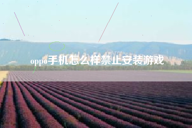 oppo手机怎么样禁止安装游戏