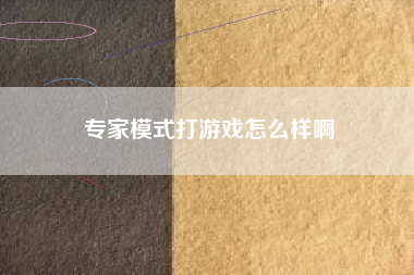 专家模式打游戏怎么样啊