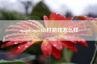 snapdragon435打游戏怎么样