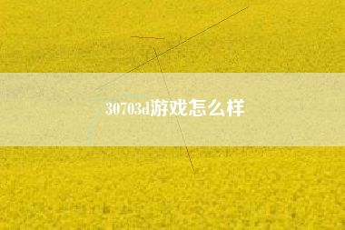 30703d游戏怎么样