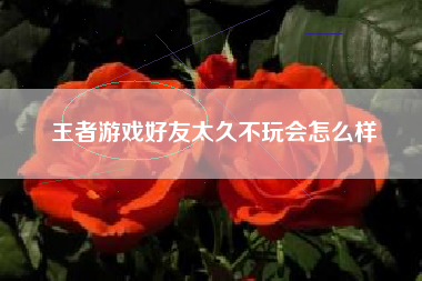 王者游戏好友太久不玩会怎么样