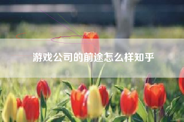 游戏公司的前途怎么样知乎