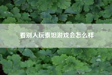 看别人玩泰坦游戏会怎么样