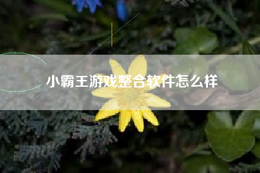 小霸王游戏整合软件怎么样