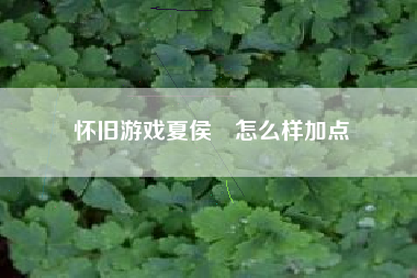 怀旧游戏夏侯惇怎么样加点