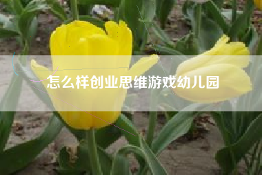 怎么样创业思维游戏幼儿园