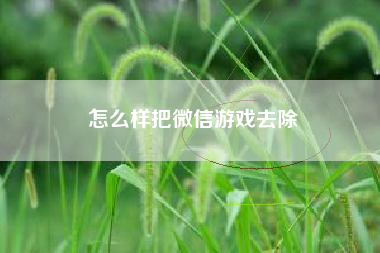 怎么样把微信游戏去除