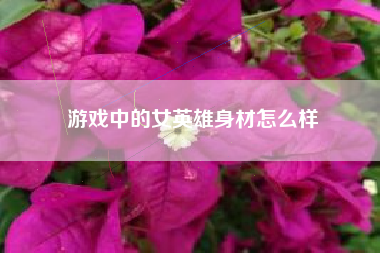 游戏中的女英雄身材怎么样