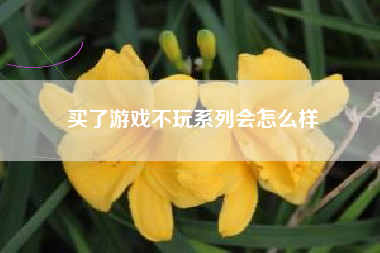 买了游戏不玩系列会怎么样