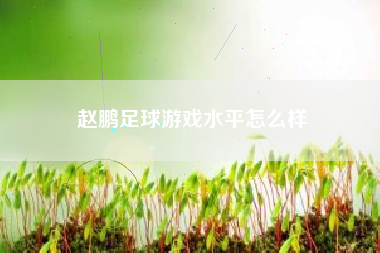 赵鹏足球游戏水平怎么样