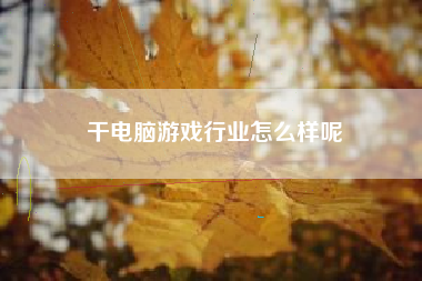 干电脑游戏行业怎么样呢