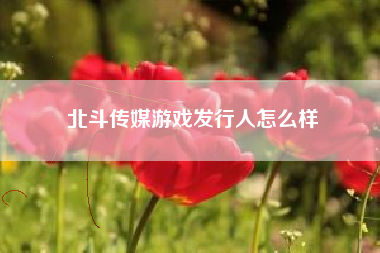 北斗传媒游戏发行人怎么样