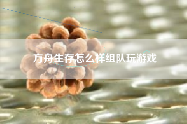 方舟生存怎么样组队玩游戏