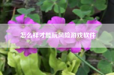 怎么样才能玩风险游戏软件