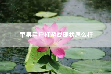 苹果用户打游戏现状怎么样