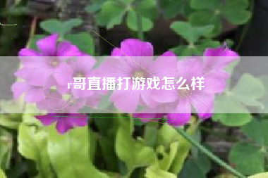 r哥直播打游戏怎么样