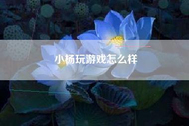 小杨玩游戏怎么样