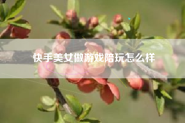 快手美女做游戏陪玩怎么样