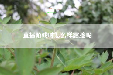 直播游戏时怎么样露脸呢