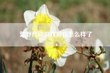 荒野行动游戏现在怎么样了