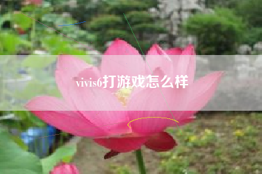 vivis6打游戏怎么样