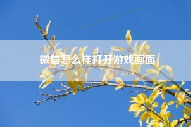 微信怎么样打开游戏画面