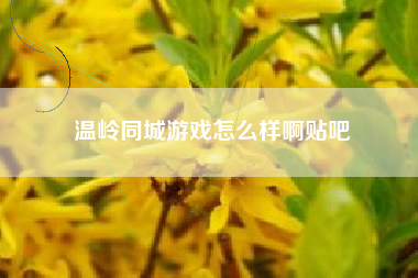 温岭同城游戏怎么样啊贴吧