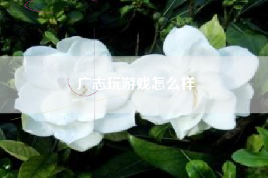 广志玩游戏怎么样