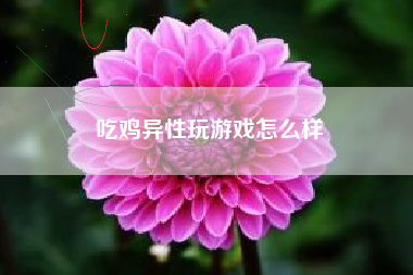 吃鸡异性玩游戏怎么样